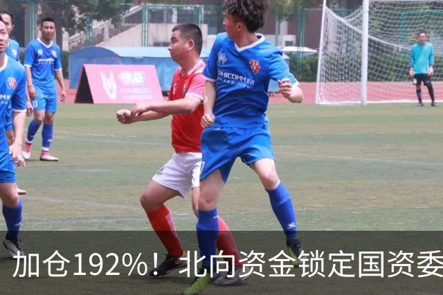 加仓192%！北向资金锁定国资委长子，芯片+氢能+低空经济